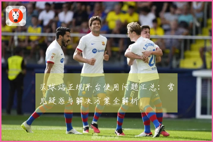 买球站正规平台使用问题汇总：常见疑惑与解决方案全解析