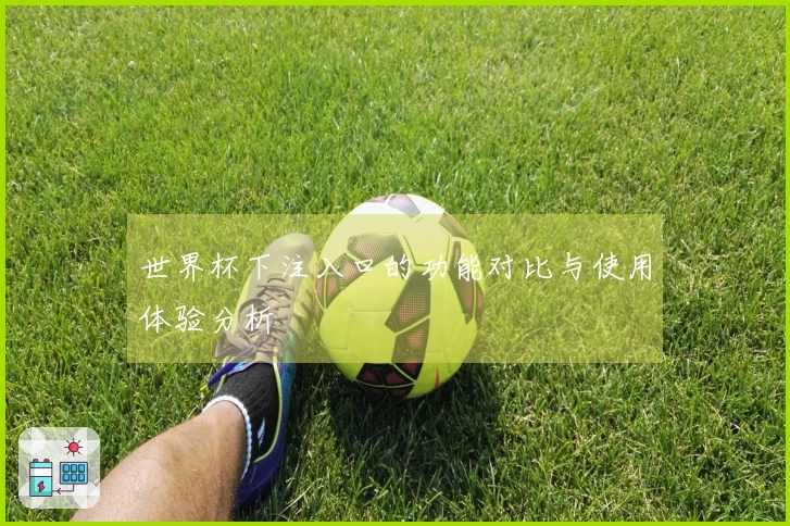 世界杯下注入口的功能对比与使用体验分析