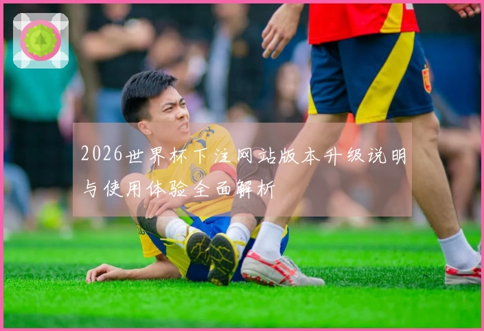 2026世界杯下注网站版本升级说明与使用体验全面解析